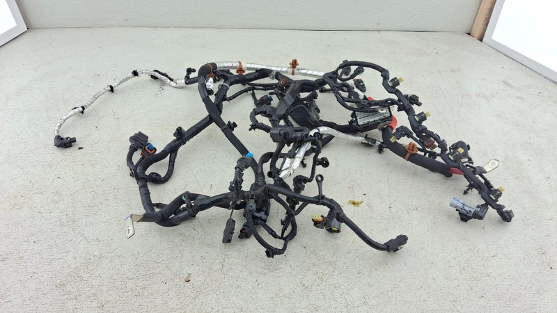 2023 - 2025 JEEP Compass ENGINE WIRE Harness OEM 6492344AE