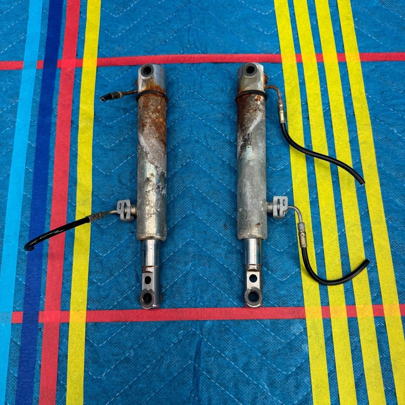 01–06 BMW 330Ci E46 Convertible Roof Hydraulic Cylinders Set Right and Left OEM
