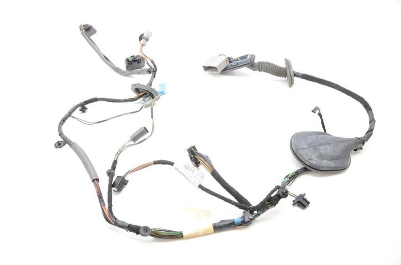 2010-2011 Range Rover Sport HSE Driver Left Rear Door Wiring Harness
