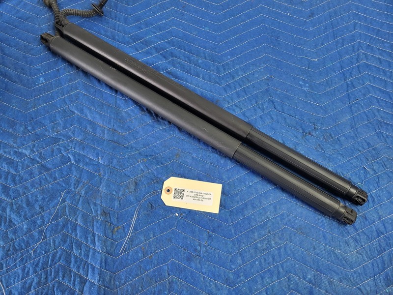 2018-2023 Kia Stinger Rear Trunk Liftgate Power Lift Strut SET OEM 81770-J5100