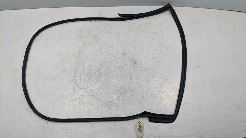 Rear Right Door Weatherstrip 2019 Dodge Charger 68040046AM 2011 - 2017 2018 2020