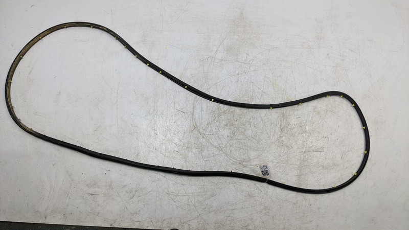 Front Left Driver Door Weatherstrip 2019 GMC Terrain 22999209 2018 2020 - 2023