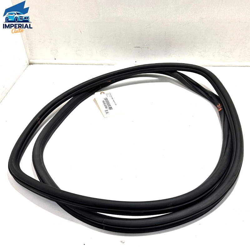 2018-2023 Volkswagen Tiguan Rear Passenger Door on Body Wheatherstrip Seal OEM