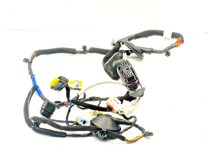 20-22 HYUNDAI PALISADE FRONT RIGHT PASSENGER DOOR WIRING HARNESS OEM #A0.44