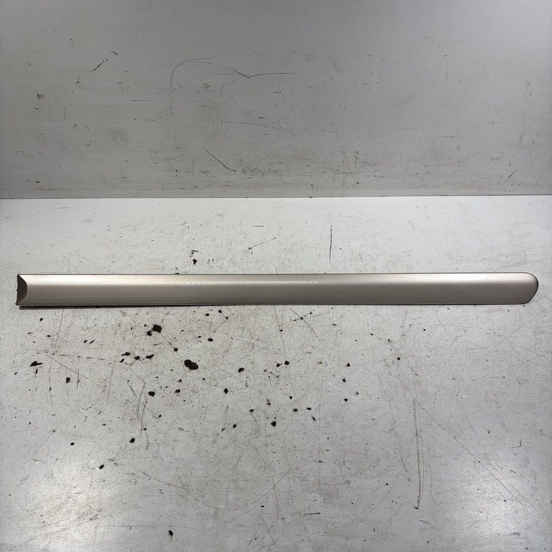 00-03 Acura TL Left Rear Door Protector Molding Gold 75323-S0K-A01ZN OEM