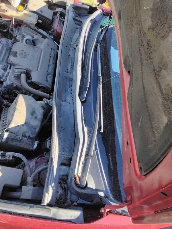 RAV 4 2016 Cowl 59953