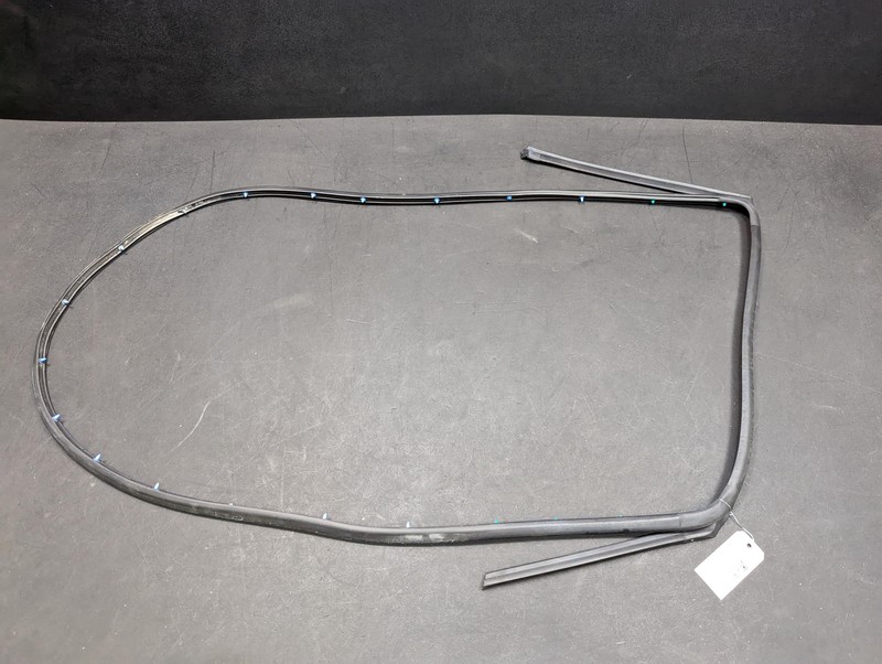 Rear Right Passenger Door Weatherstrip 2021 Hyundai Sonata 2020