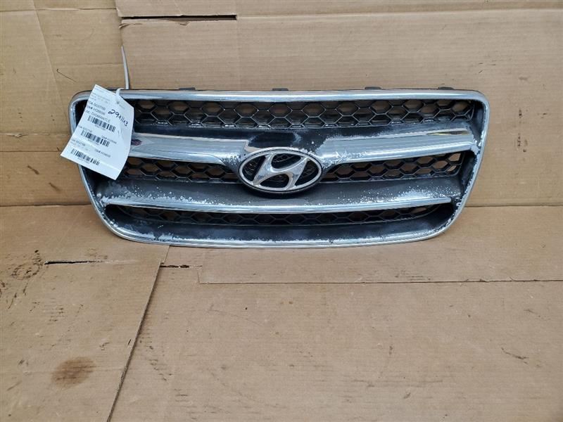 Grille Surround With Chrome Bars Fits 07-09 SANTA FE 275393