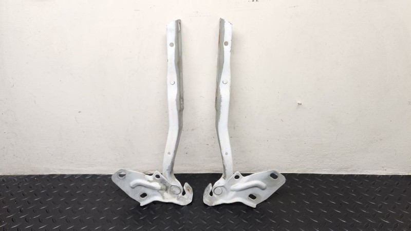 04-08 Dodge Ram 1500 Hood Hinges White Pair OEM 4589178AA