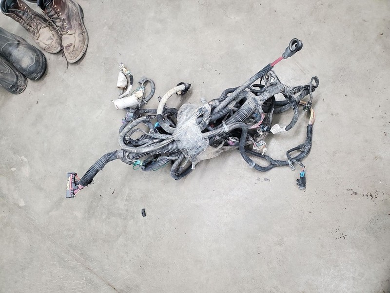 SIERRA250 2011 Engine Wire Harness 305851