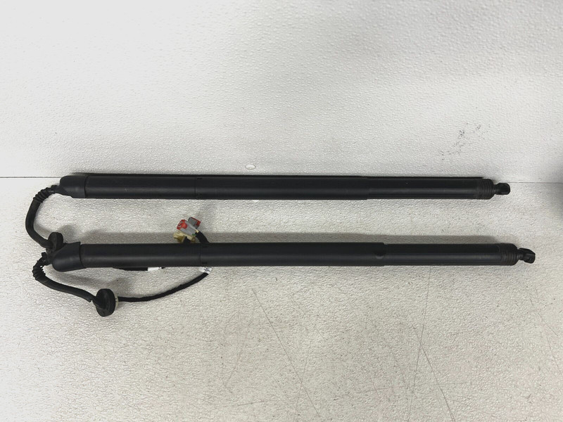 ⭐2018-2024 LINCOLN NAVIGATOR REAR POWER LIFTGATE TRUNK SHOCK STRUT OEM LOT2557