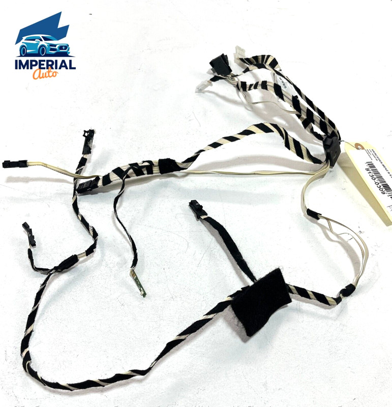 Mercedes W221 S600 Rear Left Or Right Door Wire Wiring Harness OEM 1PCS 2007-13