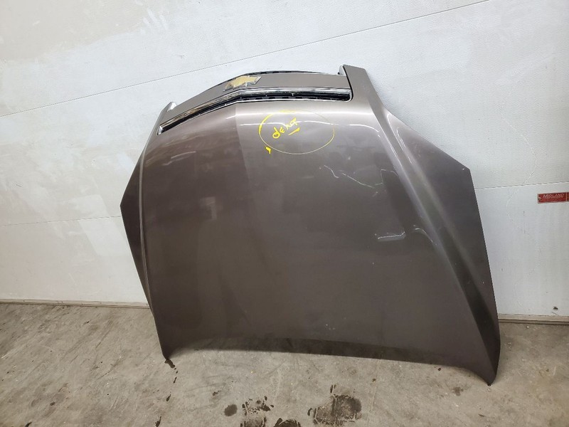 Hood Fits 12-15 CAPTIVA SPORT 291175