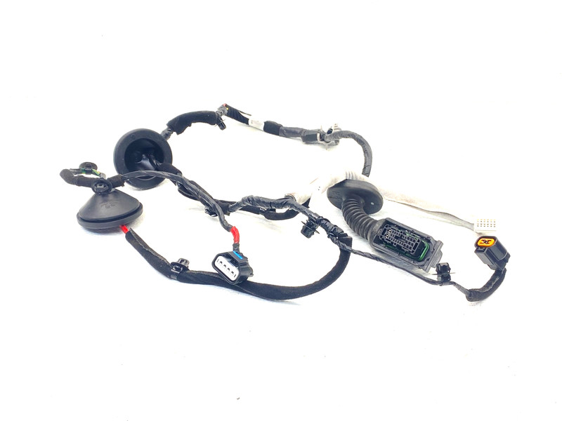 20-22 HYUNDAI PALISADE REAR LEFT DRIVER DOOR WIRING HARNESS OEM #A0.44