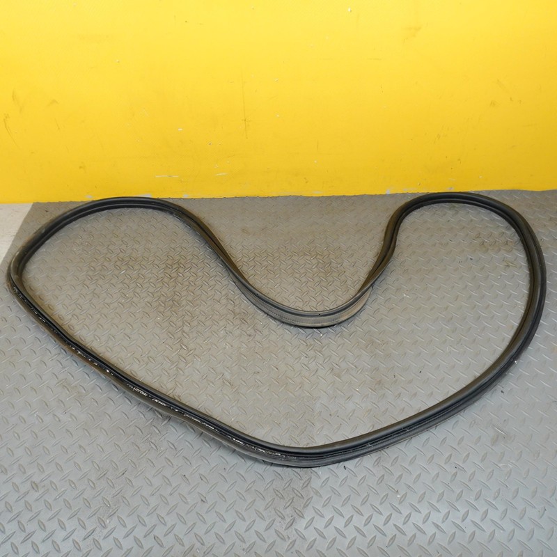 2021-2024 BUICK ENVISION LIFTGATE TAILGATE BACK DOOR BODY WEATHERSTRIP SEAL OEM