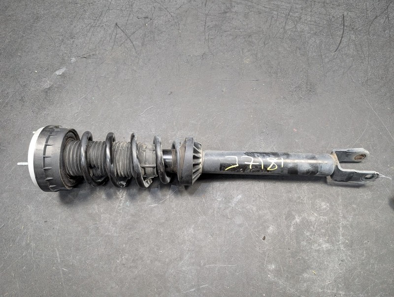 Front Left Strut w/ Spring 2018 Jaguar XE S GX73-18B036-TB 2019