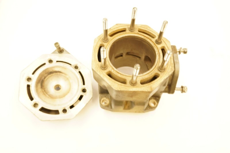 Tigershark TSL 1000 Cylinder and head 3008-506 FRESHWATER!