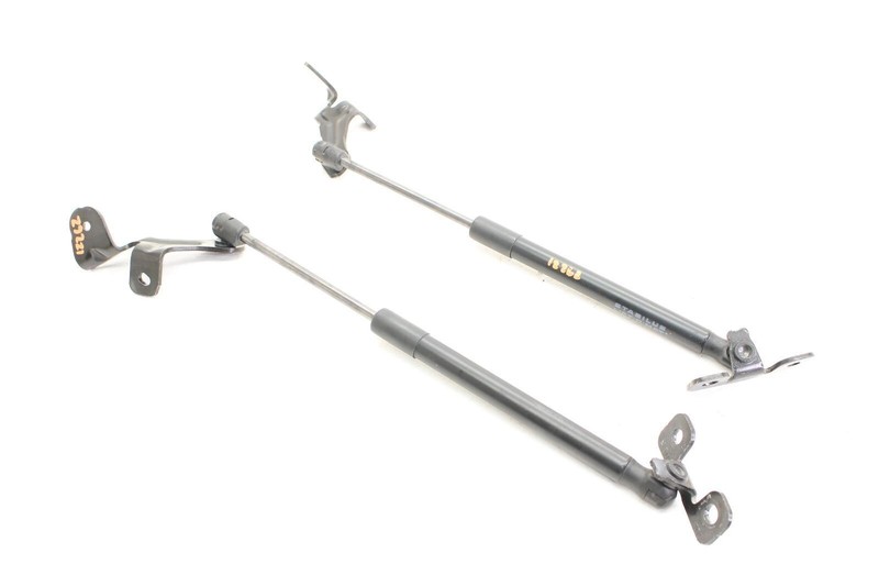 17-23 Tesla Model 3 Pair of Hood Support Struts 109147200B