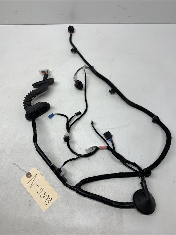 17-23 TESLA Model 3 Rear Right Door Wire Wiring Harness 3067966-00-A 5308 B79