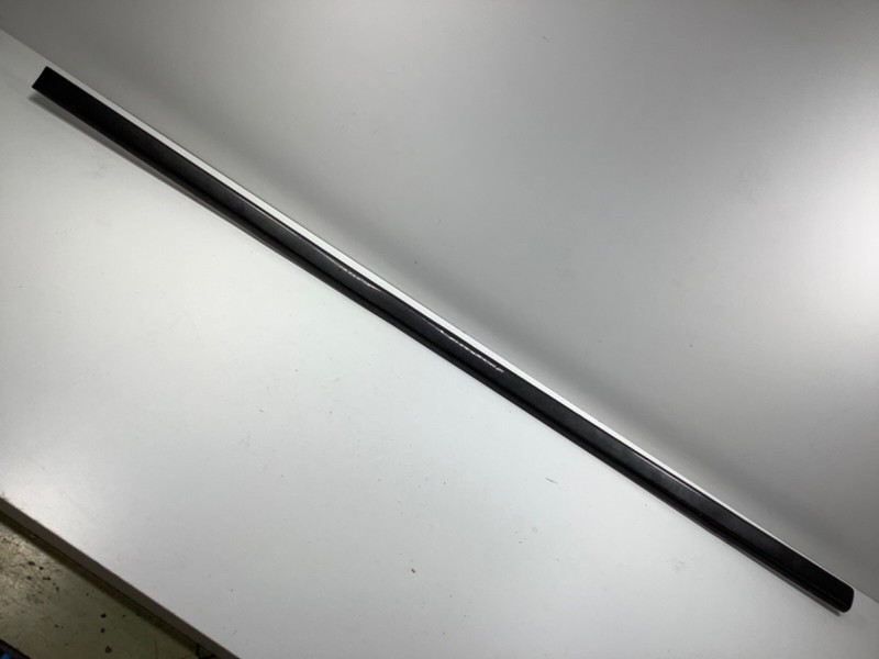 91-92 Legend 2DR RIGHT Door Panel Protector Molding Garnish Protect Trim OEM