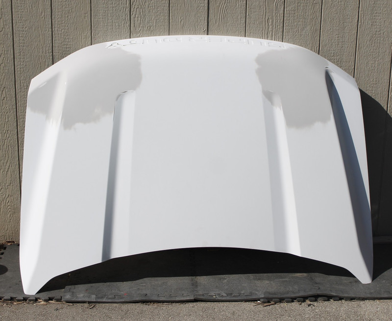 2023-2025 Ford F-250 F-350 Superduty Front Hood Bonnet Oem