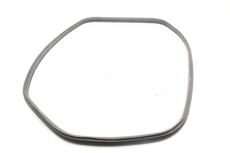 2017-2019 Nissan Frontier 4.0L Driver Left Rear Door Seal