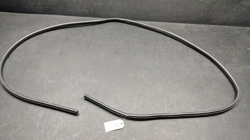 Front Right Left Door Body Weatherstrip 2019 Nissan Kicks 76921-9VA0A 2018 2020