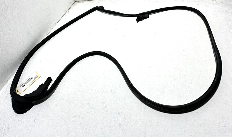 2018-19-2024 TOYOTA CAMRY SE REAR LEFT DRIVER SIDE DOOR WEATHERSTRIP SEAL OEM