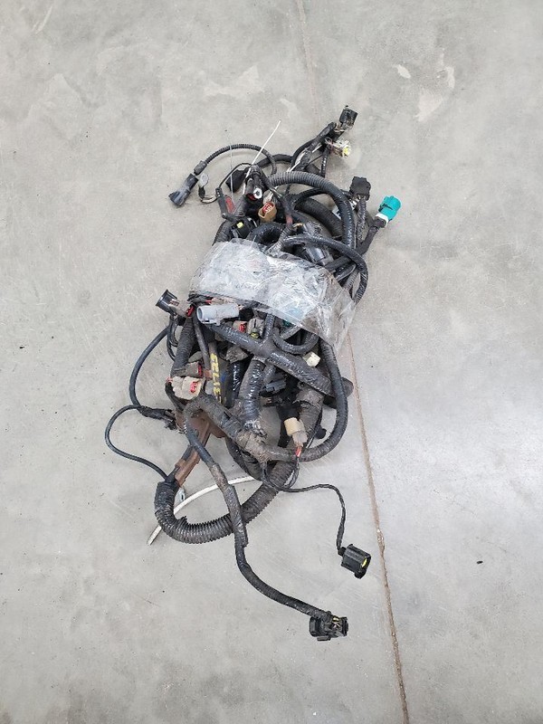 GRAND MAR 2001 Engine Wire Harness 293033