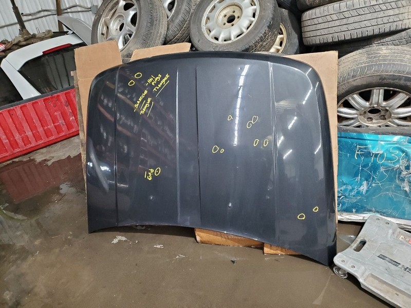 Hood Fits 07-11 NITRO 305263