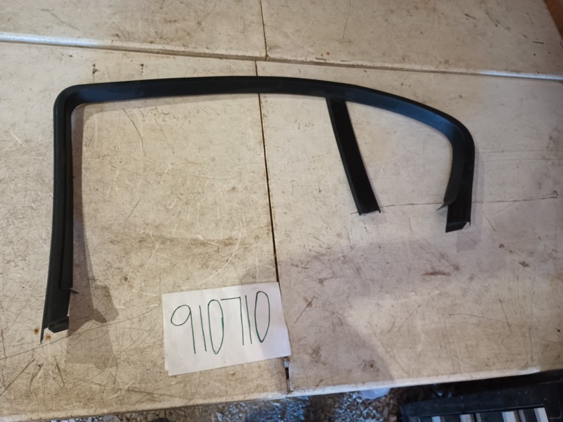 2004-2007 BMW 525IE60 Right REAR DOOR TRIM MOLDING 7033648