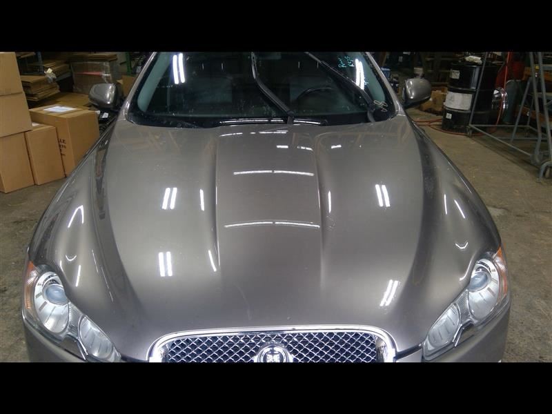 Hood Bonnet Without Hood Louvers Gray Fits 09-11 XF 660524