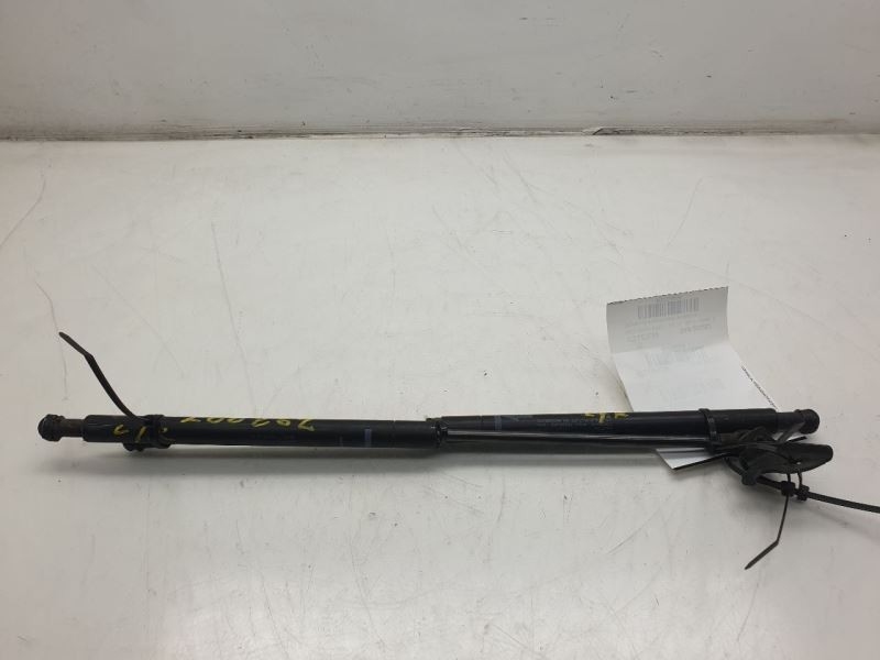 2009 LEXUS IS350 LEFT AND RIGHT SIDES TRUNK LID LIFT SUPPORT ASSEMBLY