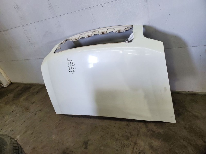 Hood Fits 04-10 INFINITI QX56 299131