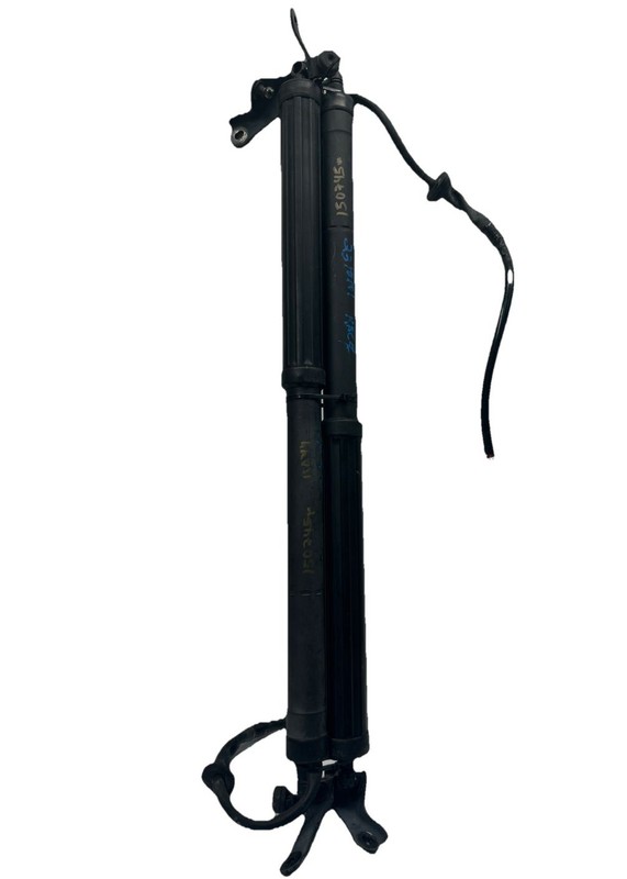 Toyota Rav-4 liftgate strut 2019 2023 shock support pair 6891042060 6892042020