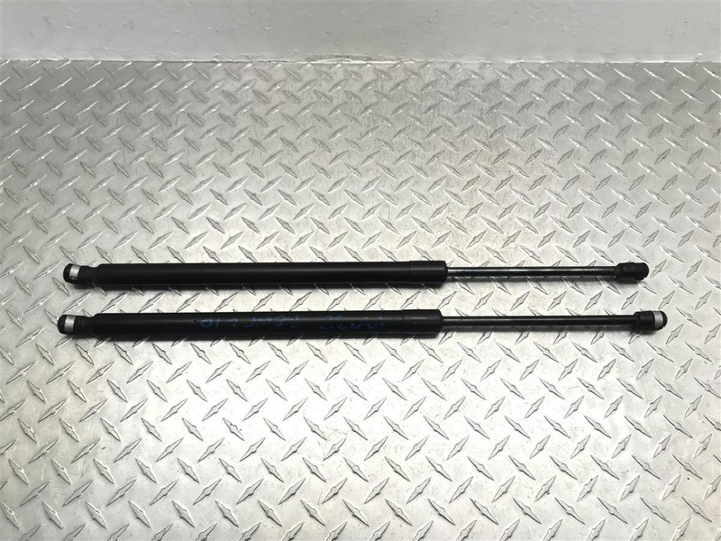 2005 FORD EXPLORER HATCHBACK STRUTS PAIR SET OF 2 OEM 172.FD8405