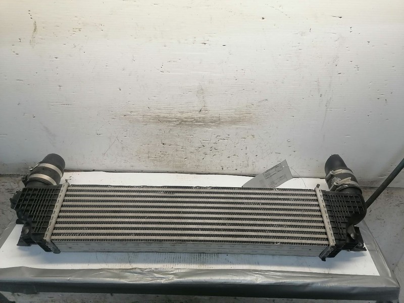 Intercooler Fits 15-24 EDGE 1780513