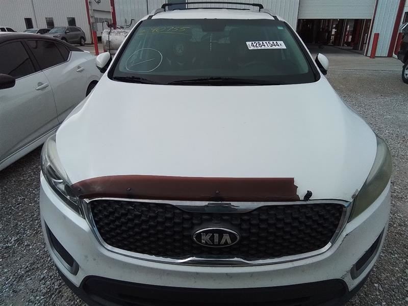 Hood Fits 16-20 SORENTO 3268156
