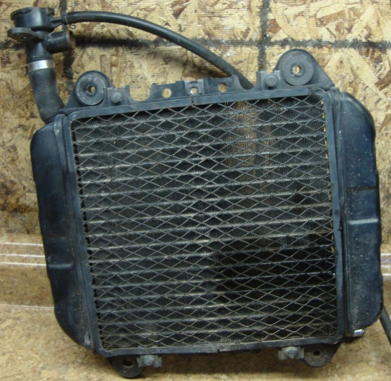 2000 Kawasaki EX250 EX 250 EX250F Ninja Radiator Radiater Engine Cooling Coolant