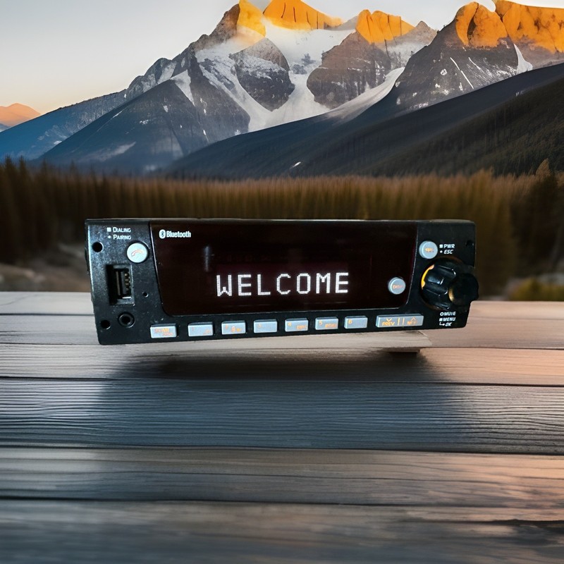 ✅ 2022 FREIGHTLINER CASCADIA M2 Radio DEA710 AM/FM/WB/BT/USB/30D A22-78678-000