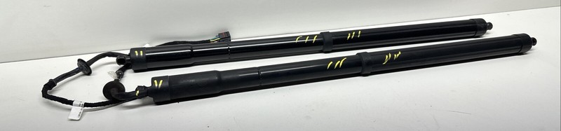 BJ3270354AB | 12-19 RANGE ROVER EVOQUE LEFT RIGHT ELECTRIC TRUNK SHOCK STRUT SET