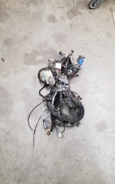 TRAILBEXT 2005 Engine Wire Harness 236186
