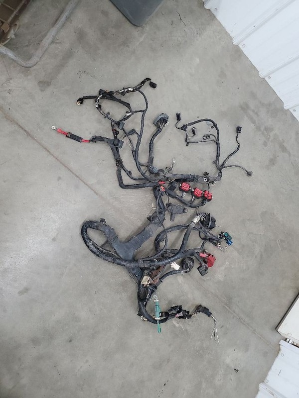 ESCAPE2008 Engine Wire Harness 299810