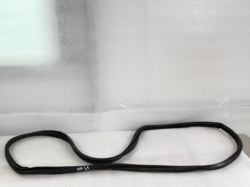 2000 NISSAN MAXIMA LEFT FRONT WEATHER STRIP SEAL OEM #019