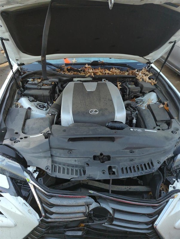 Used Differential Carrier Assembly fits: 2016 Lexus GS350 rear RWD 2.937 ratio G