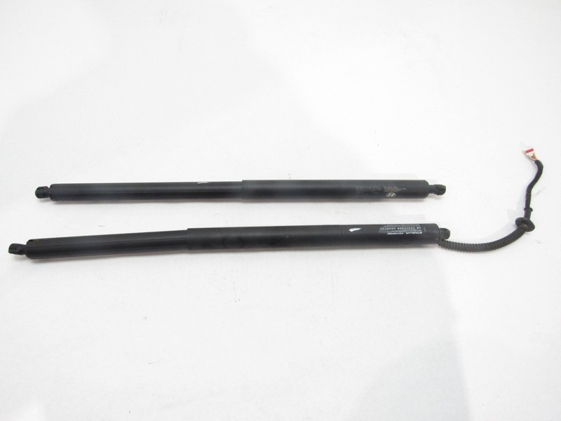Hyundai Ioniq 5 2023 Rear Left Right Liftgate Tailgate Cylinder Strut 21-25 |@2