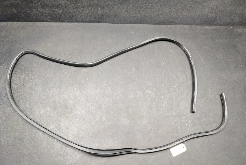 Front Right Door Body Weatherstrip 2019 Dodge RAM 1500 55112354AC 2013 - 2020