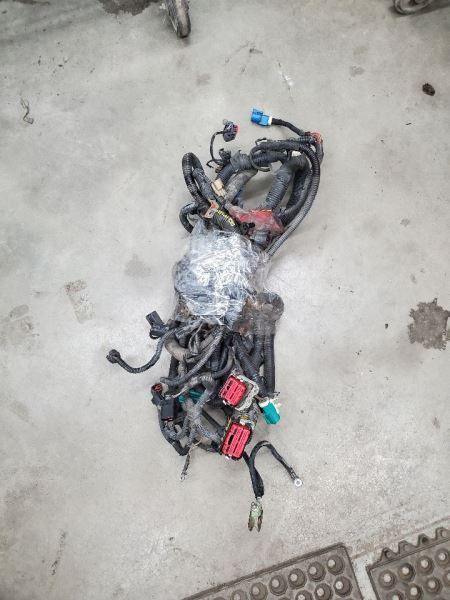 GRAND MAR 2008 Engine Wire Harness 276945