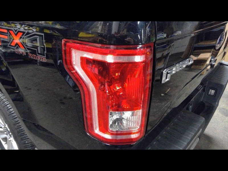 Driver Tail Light Styleside Incandescent Fits 15-17 FORD F150 PICKUP 1702231