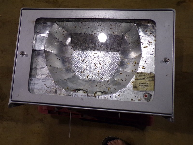 LSI Lighting GMWM 26/32/42CFL2BB 120-277V Light *FREE SHIPPING*
